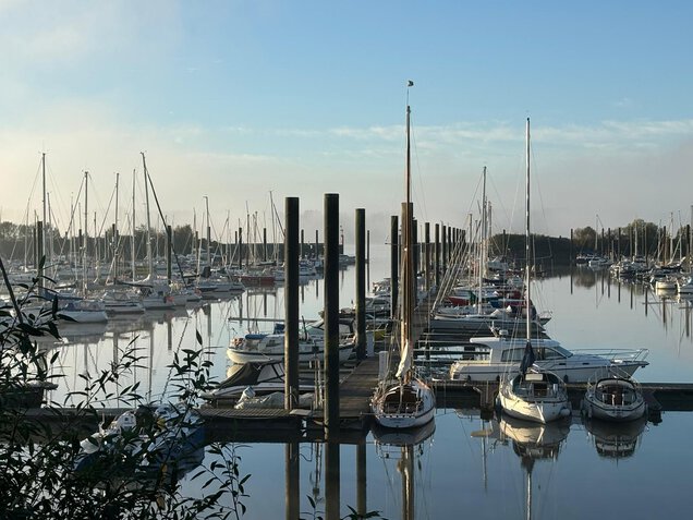 WhatsApp_Image_2026-01-30_at_09